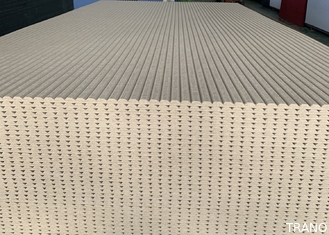 Los paneles de pared acústicos insonoros de la absorción del ruido para la oficina