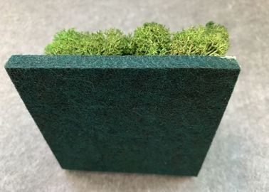 Fácil ligero de la insonorización decorativa de los paneles acústicos de la planta verde sacar el polvo